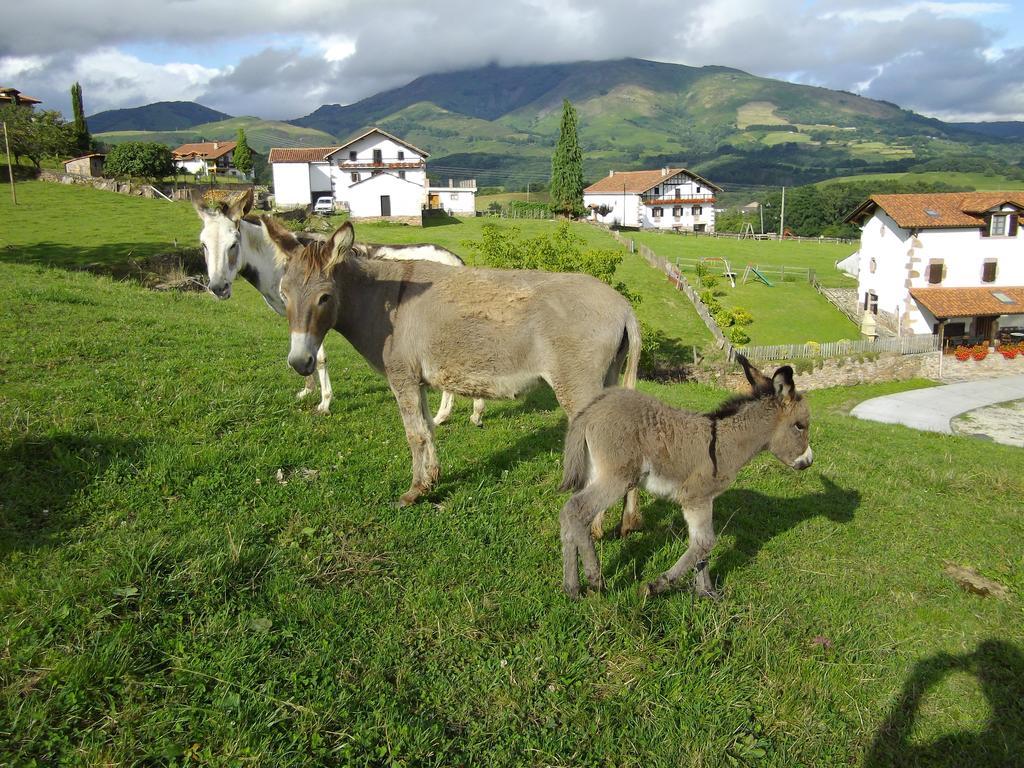 Casa Rural Gananea Zuaztoy de Azpilcueta Pokój zdjęcie
